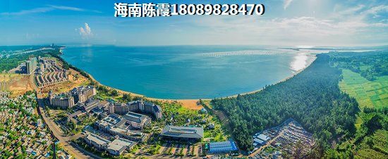 金港海岸效果图