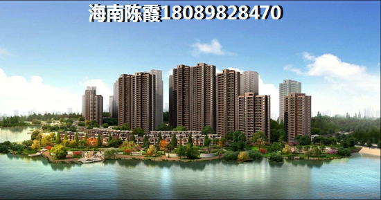 东方花梨湾海景房