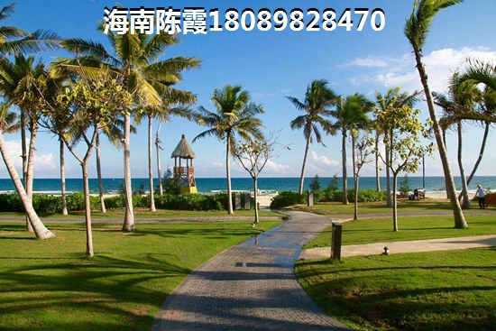 海南铺面营收率讲解