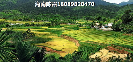 东方房价还能高涨多少