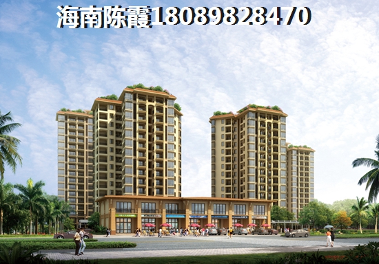 海南岛房价到底有touzi价纸吗？