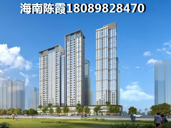 海南新房touzi价纸分析