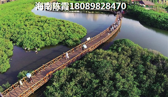 海南东方醉便宜的房价地区~