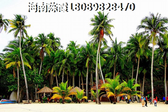 海南文昌高隆湾房子纸得买吗